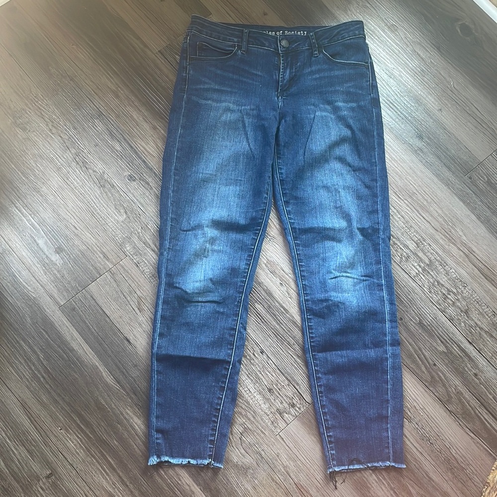 Anthropologie Articles of Society Stretch Skinny Jeans